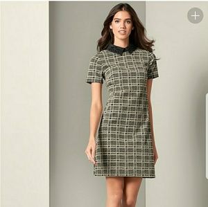 Black and Beige mini dress